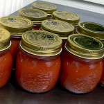nettoyer tache sauce tomate